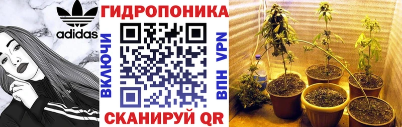 Бошки Шишки LSD WEED  наркота  Мантурово 